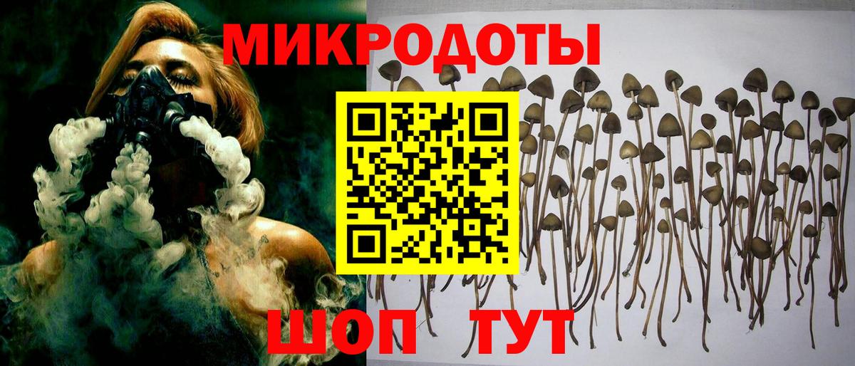 Галлюциногенные грибы Psilocybe  Галлюциногенные грибы ЛСД  Вход с VPN  Электросталь 