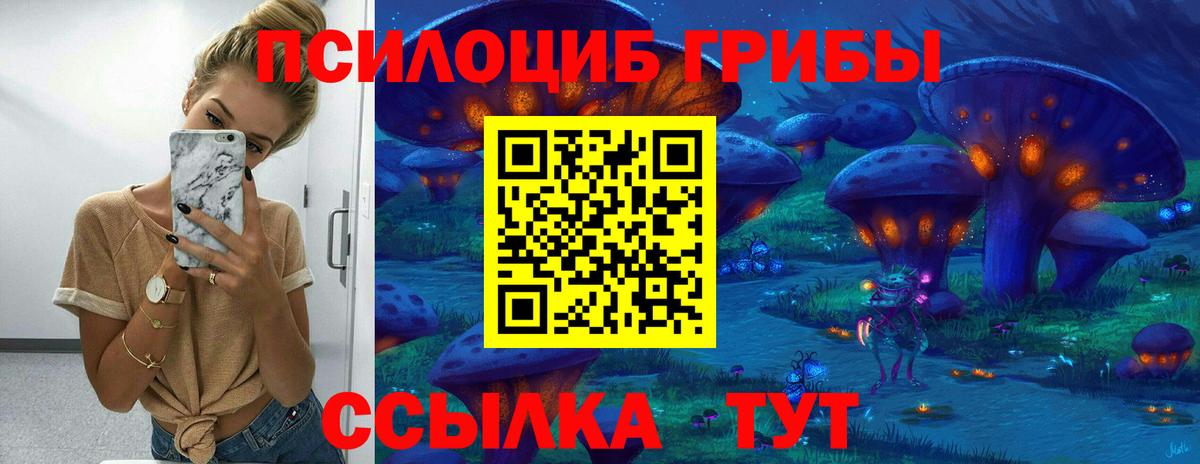 Псилоцибиновые грибы мухоморы Электросталь